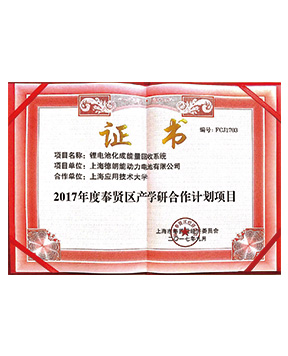 2017年奉賢區產學研合作計劃項目